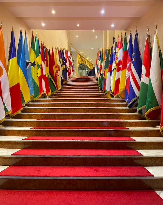 Sommet de la Francophonie à Djerba en 2023